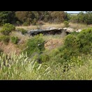 Ein Sink Hole neben der Straße